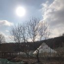 김포황토테마파크 이미지