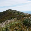 은빛추억 이미지