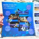 종이접기 스토리텔링 | 대전 엑스포 아쿠아리움 후기｜미디어아트와 생물이 공존하는 공간