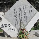 하이얀 이미지
