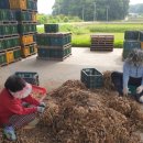 종구농장 이미지