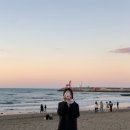 솜니제주 이미지