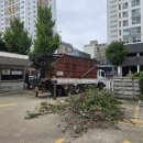 주식회사숲나무 이미지