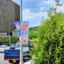 엑스포과학공원 주차장 이미지