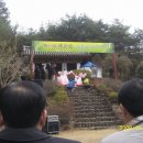 약수제 이미지