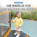 아기 여름 등원룩 추천 모이몰른 자외선 차단 바람막이 리에토쿨에버 상하복
