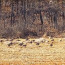 천의1리마을회관 이미지