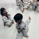 충의K타이거즈 태권도장 | 세종시 태권도장, 아이들이 즐겁게 배우는 태권도!💖