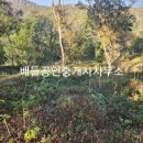 보성부동산공인중개사사무소 이미지