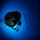 2025년 올해의 해양 사진작가상 인간 관계상 및 청년 부문 최종 후보작 이미지