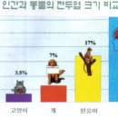 건강 신호등 : 두뇌의 면류관 -전두엽 (제2부) 이미지