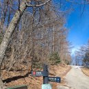 하이원 팰리스호텔 이미지