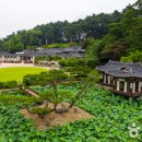 동진다실
