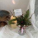 대동명품세탁 | 12/13-