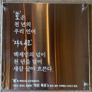 푸른식물병원 | [경산 대형카페] 압도적인 스케일 속 미술관+식물원+카페 감성의 조합, 쏠 바이 자이언트트리 방문 후기