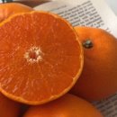 한길3농장 이미지