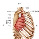 강남헬스 이미지