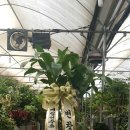 리본공인중개사사무소 이미지