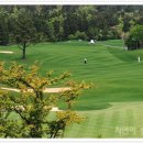 오동동064 이미지