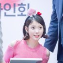 팔레트 이미지