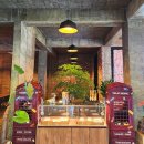 순덕축산 | 가평 분위기 좋은 반려동물 동반 카페 "시고르" 다녀온 후기! (강남맛집 체험단 / 협찬 + 일부 내돈내산!)