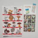 11545-08-02-22 | 아트북페어 림 : 종이숲 산책클럽 2026.02.07 ~ 02. 08 아트센터 림