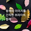 염색이야기 이미지