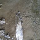 가음정천 이미지