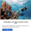 바론김밥 | 03. 첫 보홀, 스쿠버다이빙의 시작(바론다이브 오픈+어드 교육)