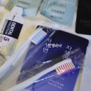 호텔달싸롱 | 경기도 반려동물 동반 수원 엠스토리/수원 반려동물 동반 호텔 엠스토리 후기/수원 강아지랑 호캉스