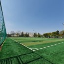 형산강체육공원 축구장 네이버블로그