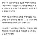 캐나다 유명 래퍼, 비행기 날개에서 랩하다 추락사망 이미지