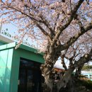 더럭초등학교 이미지