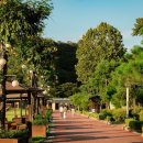 뿌리공원 이미지