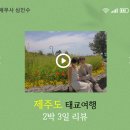 아줌마 PC | 제주도 태교여행 2박 3일 후기(feat. 제주신라호텔 호캉스와 만삭은 아닌 셀프 만삭 촬영)