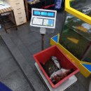 회포장 - 부평구 열우물로 21 | 회포장