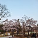 주정차단속-116 이미지