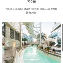 디오클린 | 겨울에도 부산에서 워터파크를 즐길 수 있다! 부산 온천 클럽디오아시스 솔직후기