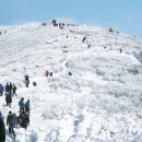 태백산 - 서구 완정로 151 | 태백산