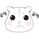 넬동물의료센터 이미지