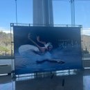 지그프리드 | 20240316 진주 경남문화예술회관 대공연장 A석 2층 C블럭 6열 2유니버셜발레단 백조의 호수