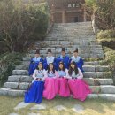 대구한의대학교박물관 Daum카페