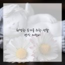 냥이의꿈 이미지