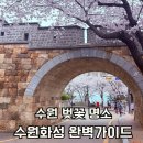 경기도 수원시 팔달구 팔달로110번길 26 (고등동) | 수원 벚꽃엔딩 코스 추천 수원화성 남포루에서 통닭거리까지!