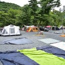 밀양표충오토캠핑장 이미지