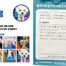 웰케어 동물건강검진센터·동물한방재활센터 이미지