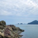 신비로-1 이미지