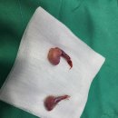 제주오름동물병원 이미지