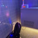 악쓰는하마2 노래연습장 이미지