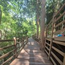 성지곡지 이미지